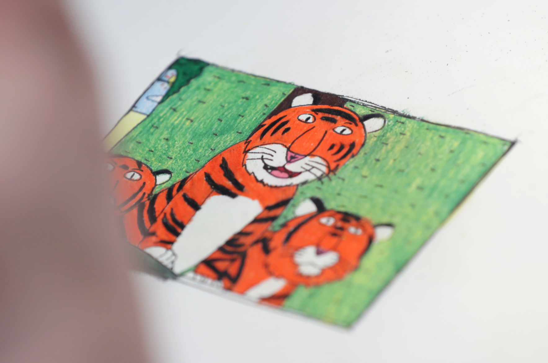 Tigers